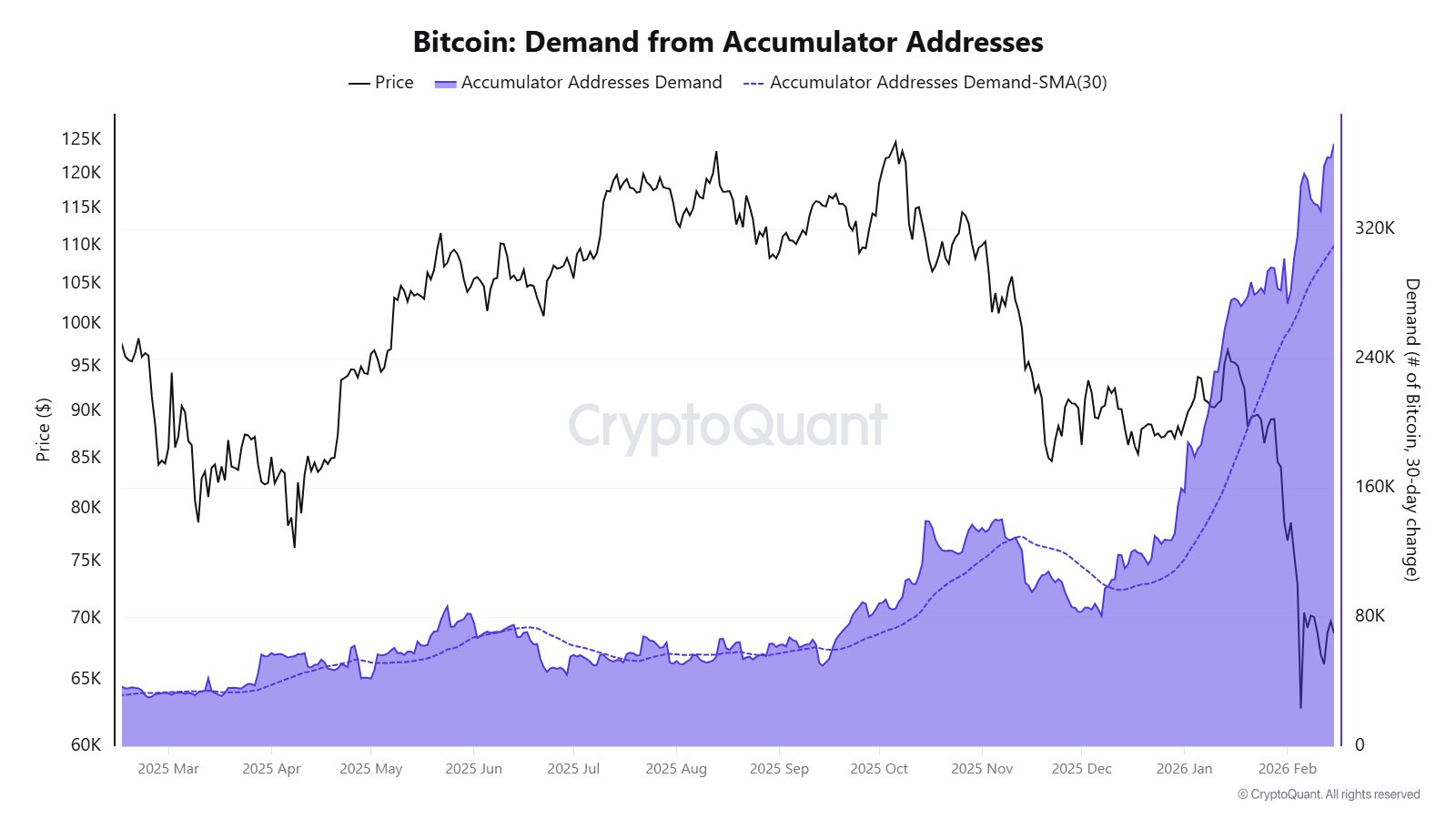 Kryptowährungen, Bitcoin-Preis, Einführung, Märkte, Kryptowährungsbörse, Preisanalyse, Marktanalyse, Liquidität, Wal