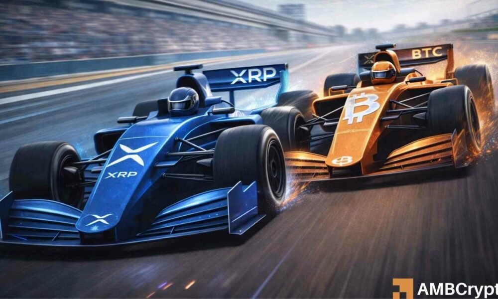 XRP steht im institutionellen Interesse an zweiter Stelle nach Bitcoin, aber warum hinkt es hinterher?