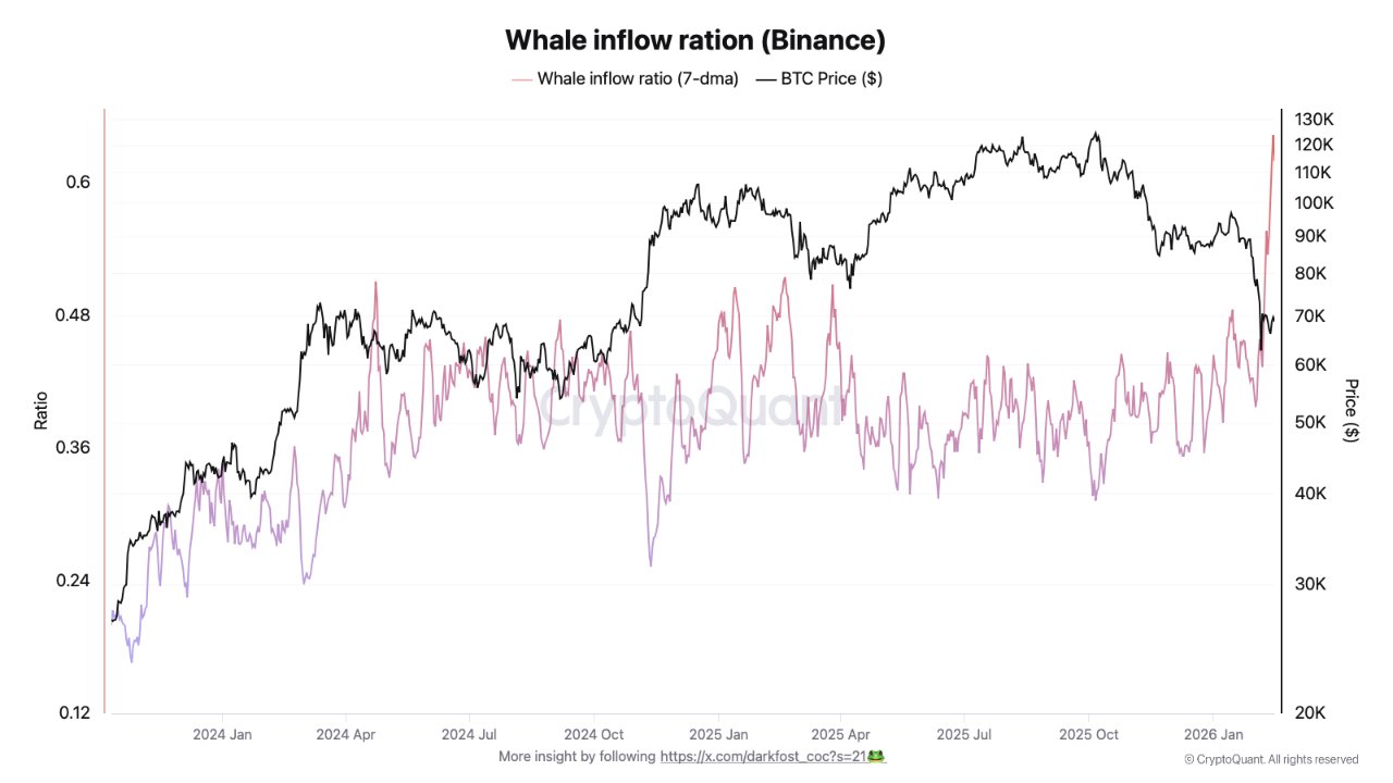 Kryptowährungen, Bitcoin-Preis, Einführung, Märkte, Kryptowährungsbörse, Binance, Preisanalyse, Marktanalyse, Wal