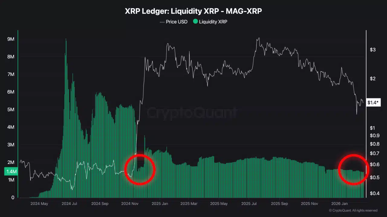 XRP-Liquidität
