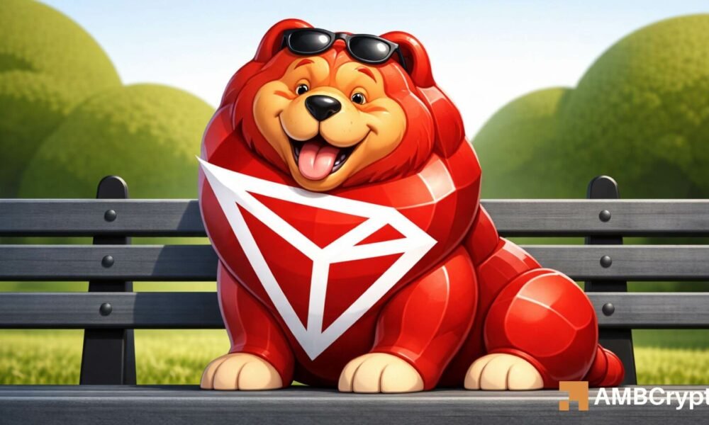 Warum sich TRON trotz der Marktabschwächung auf 0,45 US-Dollar vorbereitet