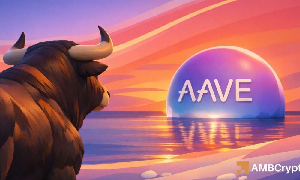 Graustufendateien entdecken AAVE ETF – löst institutionellen Wandel aus