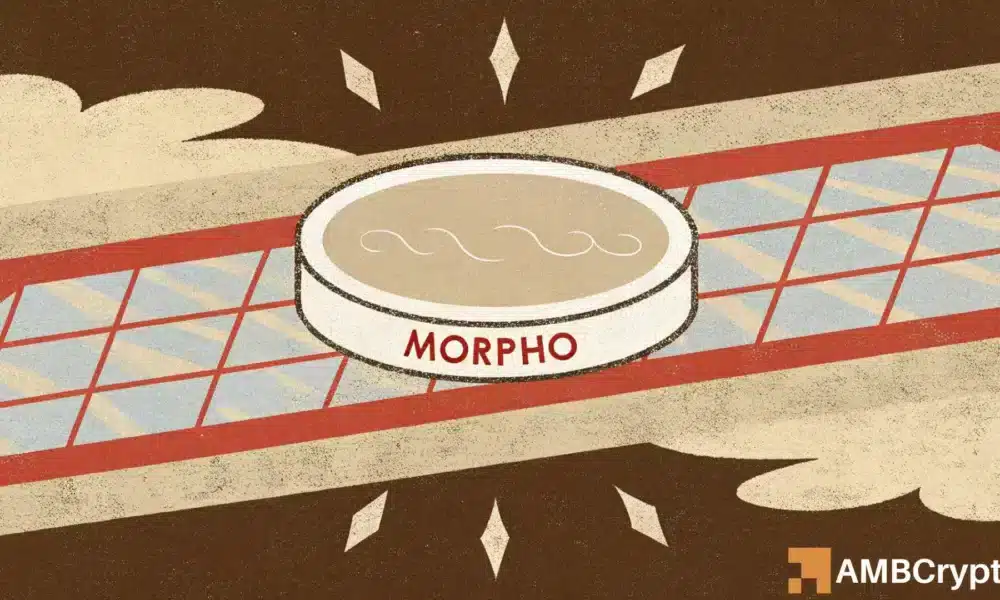 Morpho-Preis erholt sich: Aber DIESE Hürde könnte den nächsten Schritt verhindern