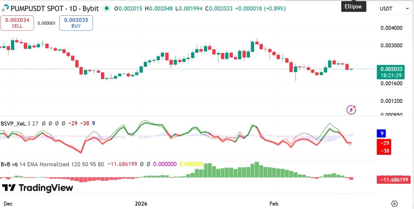 Pumpbullen vs. Bären