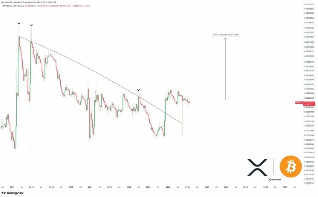 Javon markiert XRP BTC