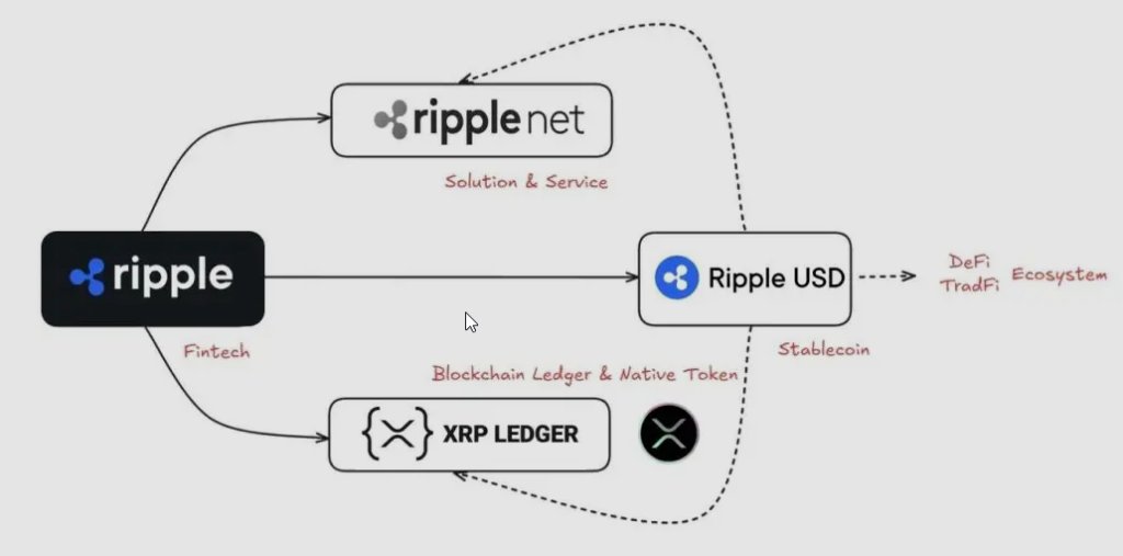 Ripple-Ökosystem: RippleNet, XRP Ledger und RLUSD