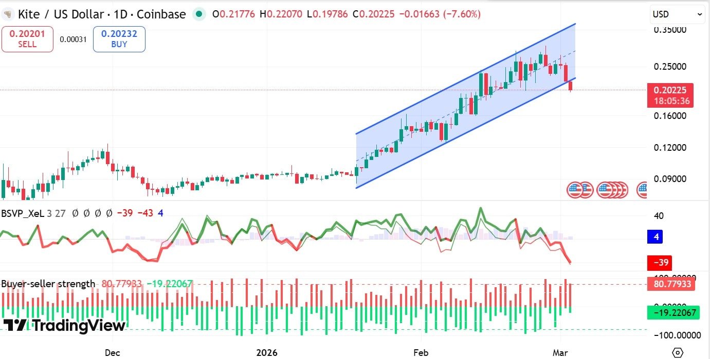 Druck des Drachenverkäufers auf den Preis