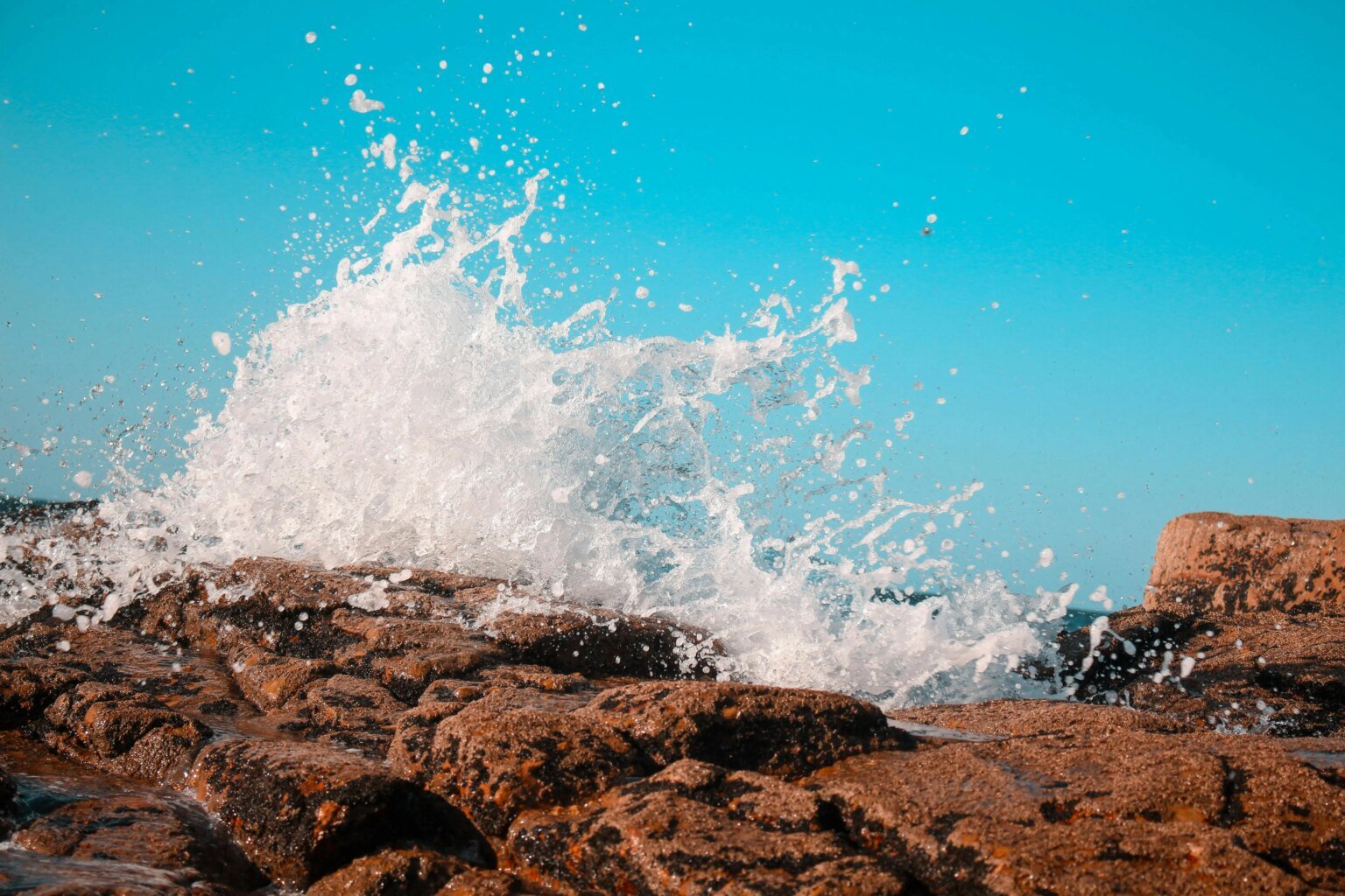 Mehr als 40 % der Altcoins erreichen den Tiefpunkt