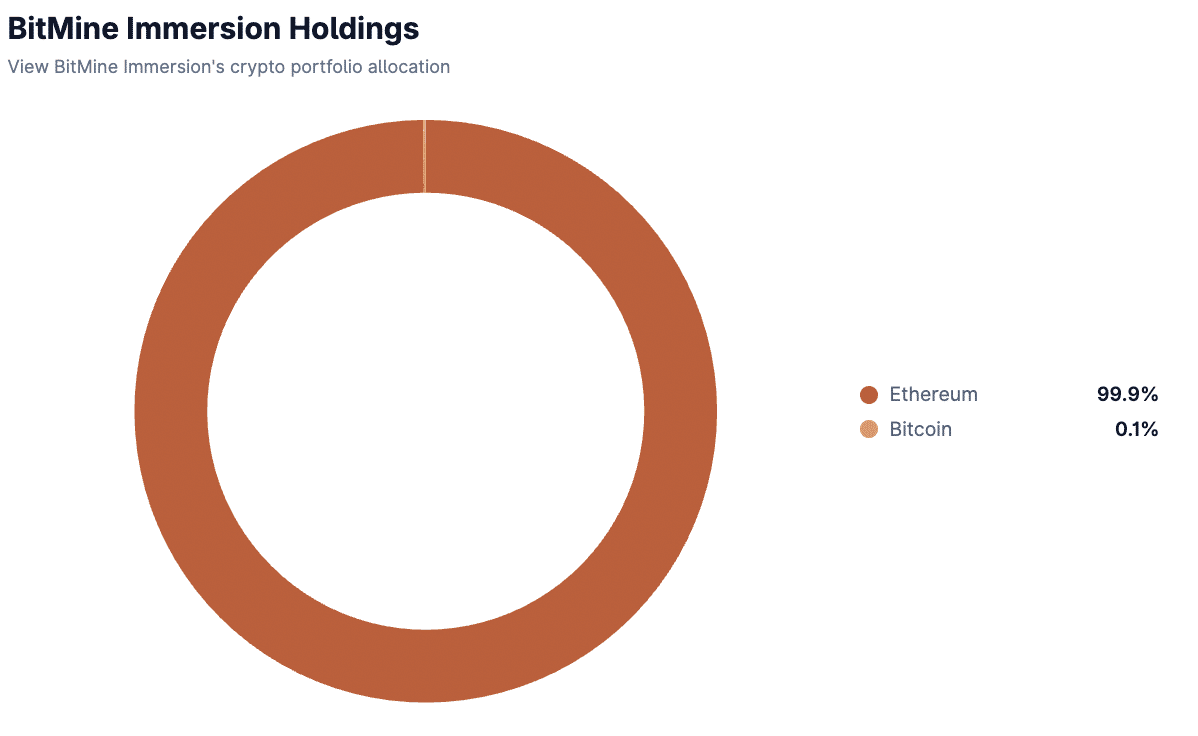 BitMine Immersion Holdings