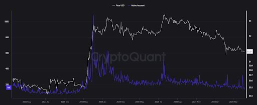 Vergessen Sie die Schwäche des XRP-Preises, die Investoren strömen immer noch in Strömen und die Wallet-Zahlen haben gerade ein beeindruckendes Ziel erreicht
