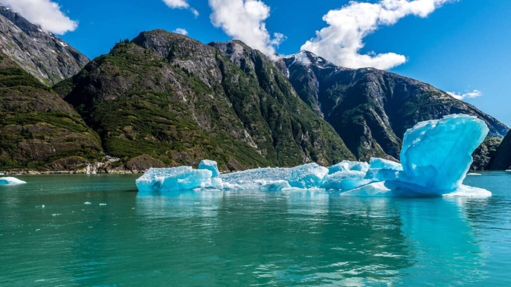 MSC und Royal Caribbean stornieren alle Kreuzfahrten zu Kreuzfahrtzielen aus Risikogründen