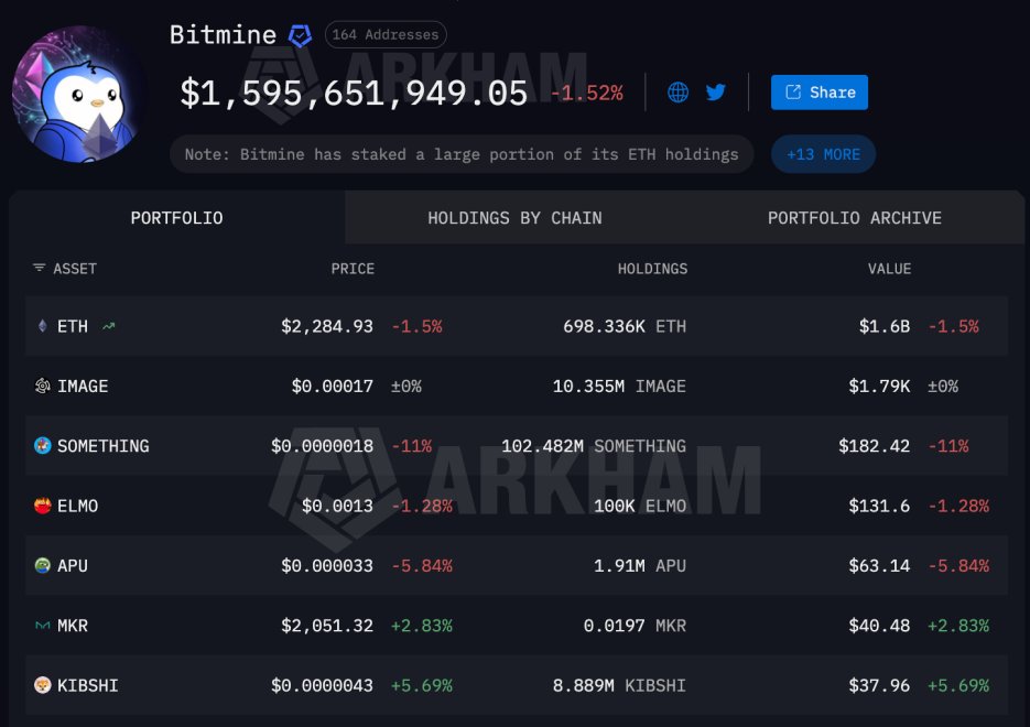 Bitmine Portfolio | Source: Arkham