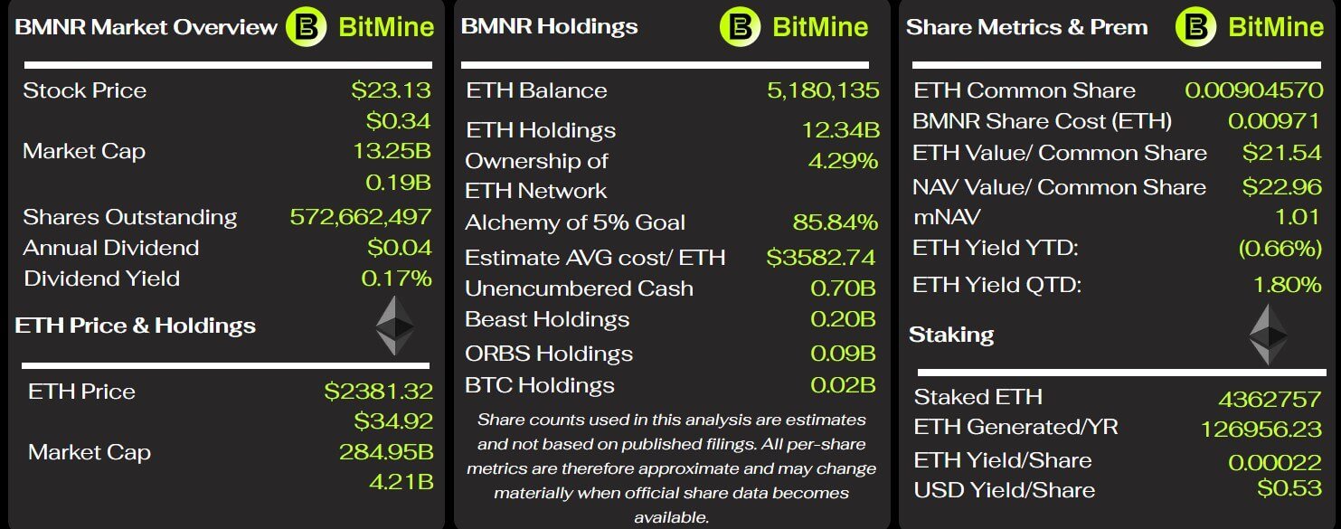 BitMines Ethereum-Schlüsselmetriken