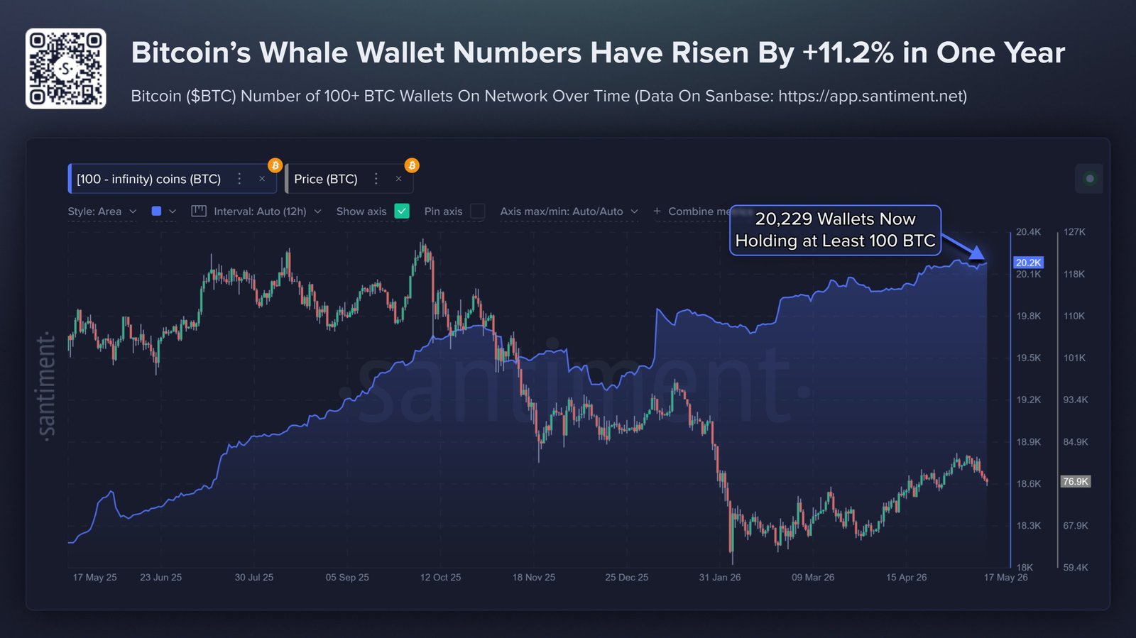 Bitcoin-Wale
