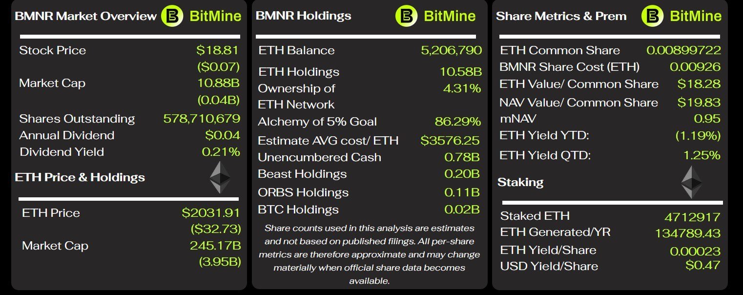 BitMine-Schlüsselmetriken