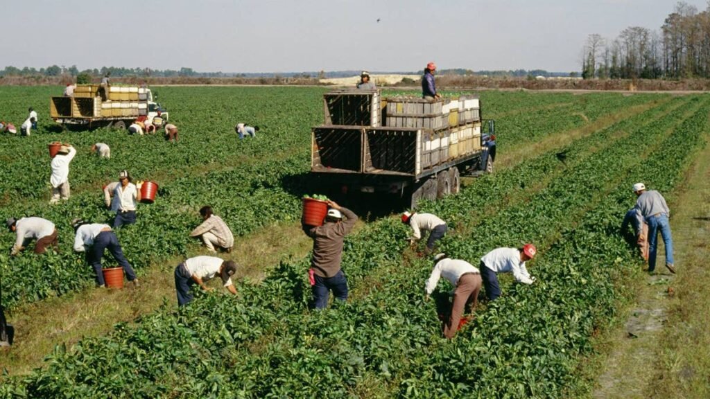 US-amerikanische Landwirte geraten aufgrund der Folgen des Iran-Krieges in eine Kreditkrise