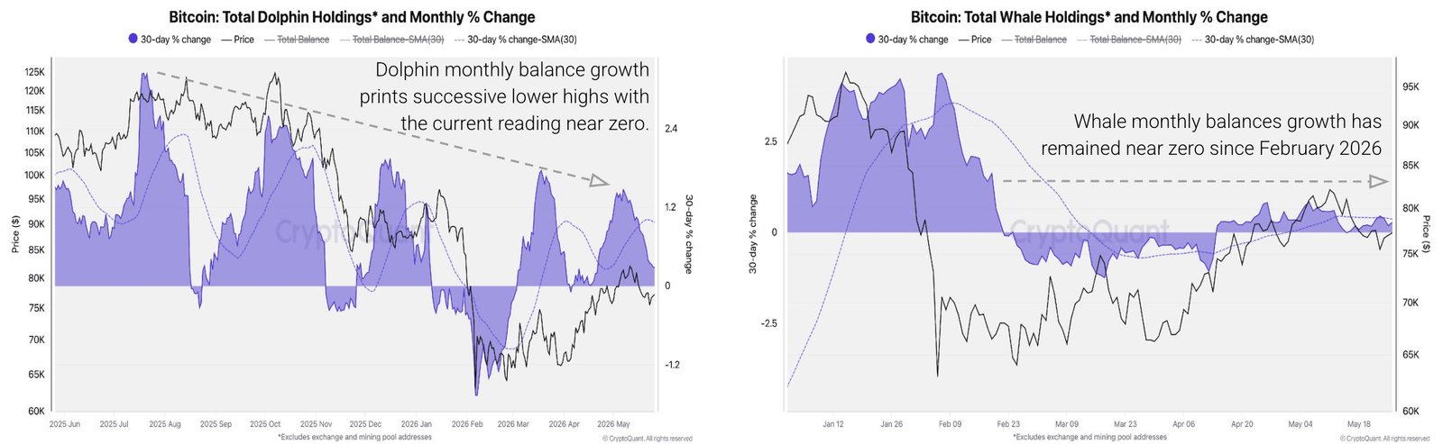 Bitcoin-Walbestände
