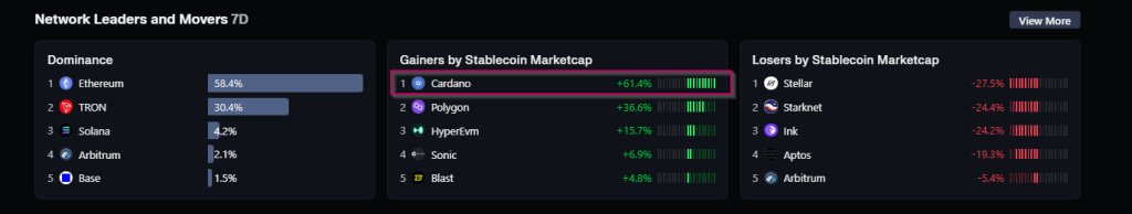 Cardano übernimmt die Führung, da die Marktbewertung von Stablecoins um 61 % steigt