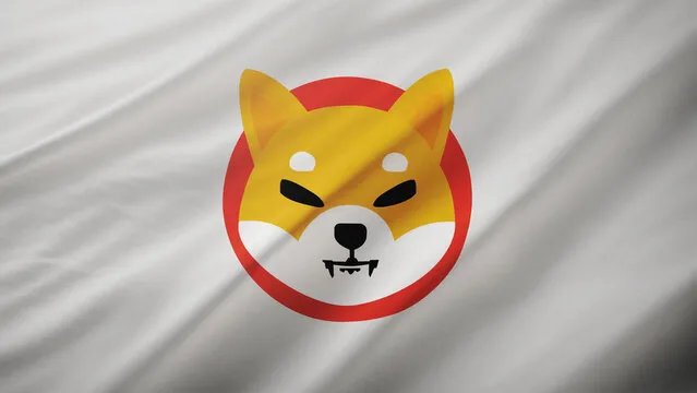 Shiba Inu OI stürzt um über 30 % ab, SHIB-Verbrennungen kommen zum Erliegen; Ist das das Ende?