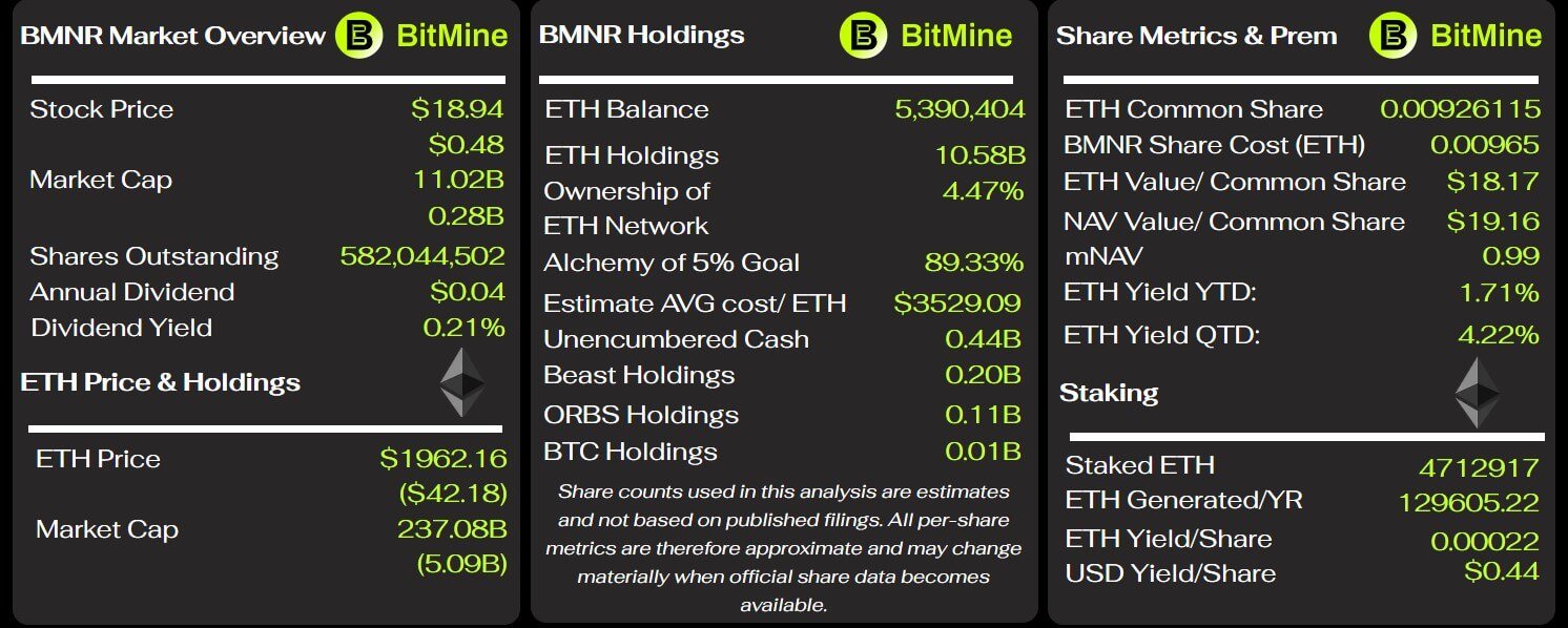 BitMine-Schlüsselmetriken