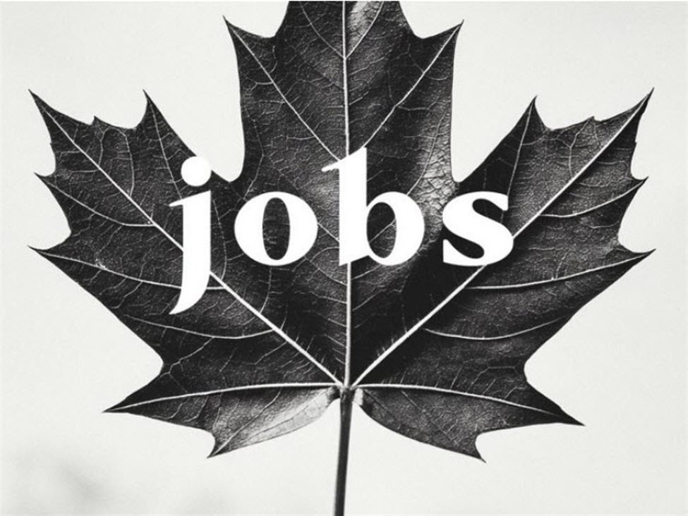 Beschäftigungsveränderung in Kanada 87,8 K gegenüber 10,0 Schätzung. Die Arbeitslosenquote sinkt auf 6,6 %
