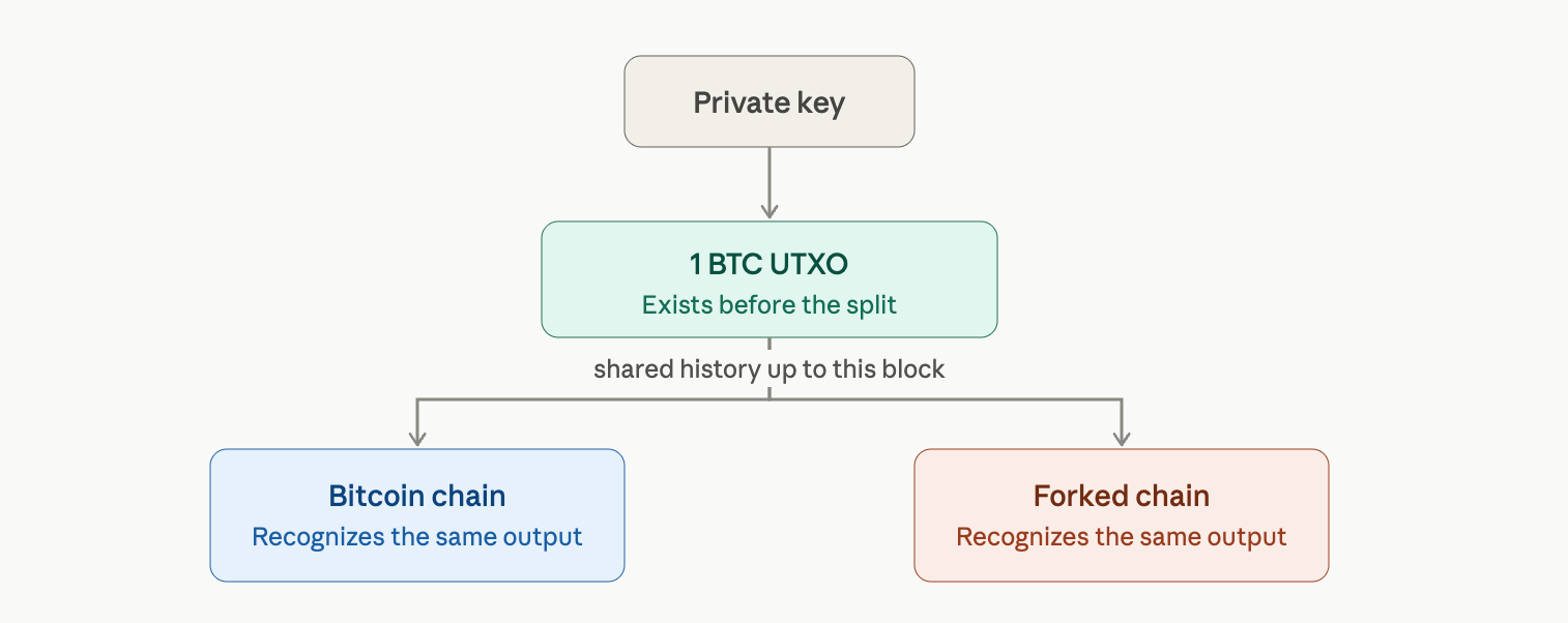 Erklärung der Aufteilung der Bitcoin-Kette: Warum jeder BTC-Inhaber ein neues 1:1-Asset erhält UTXO-Verlaufsvisualisierung.