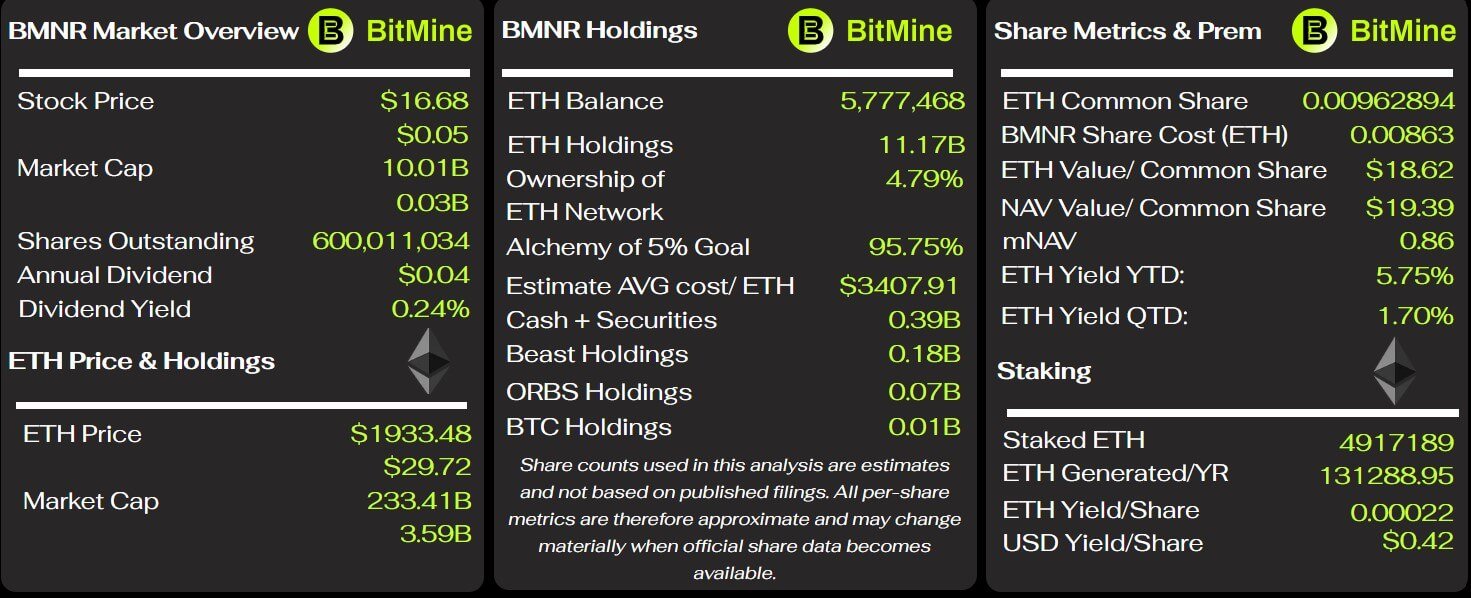 BitMine-Schlüsselmetriken