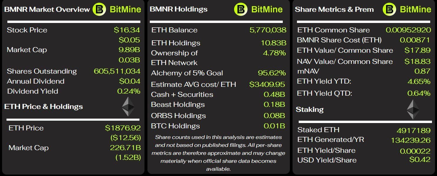   Die wichtigsten Kennzahlen von BitMine