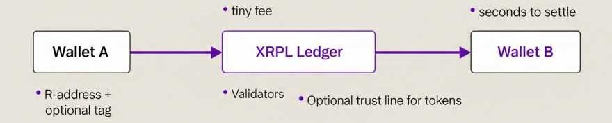 process of an XRP transaction